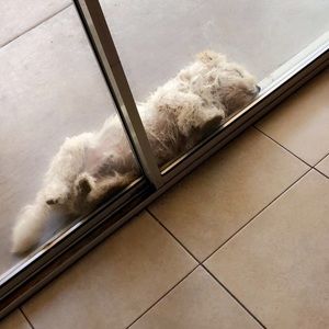 Meet your Posher, Mari